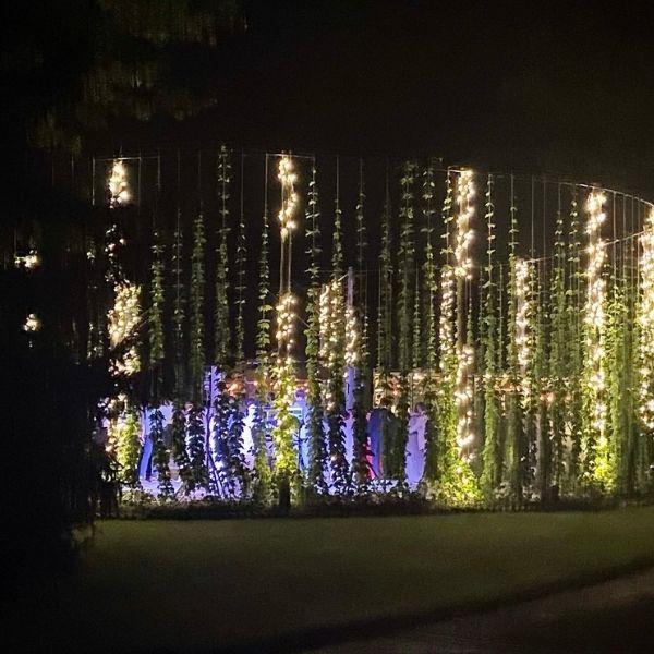 Hops Garden with lights at night