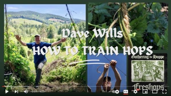 video Dave Wills How To Train Hops
