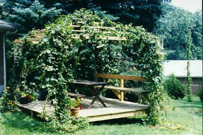 Gazebo hops garden design with picnic table