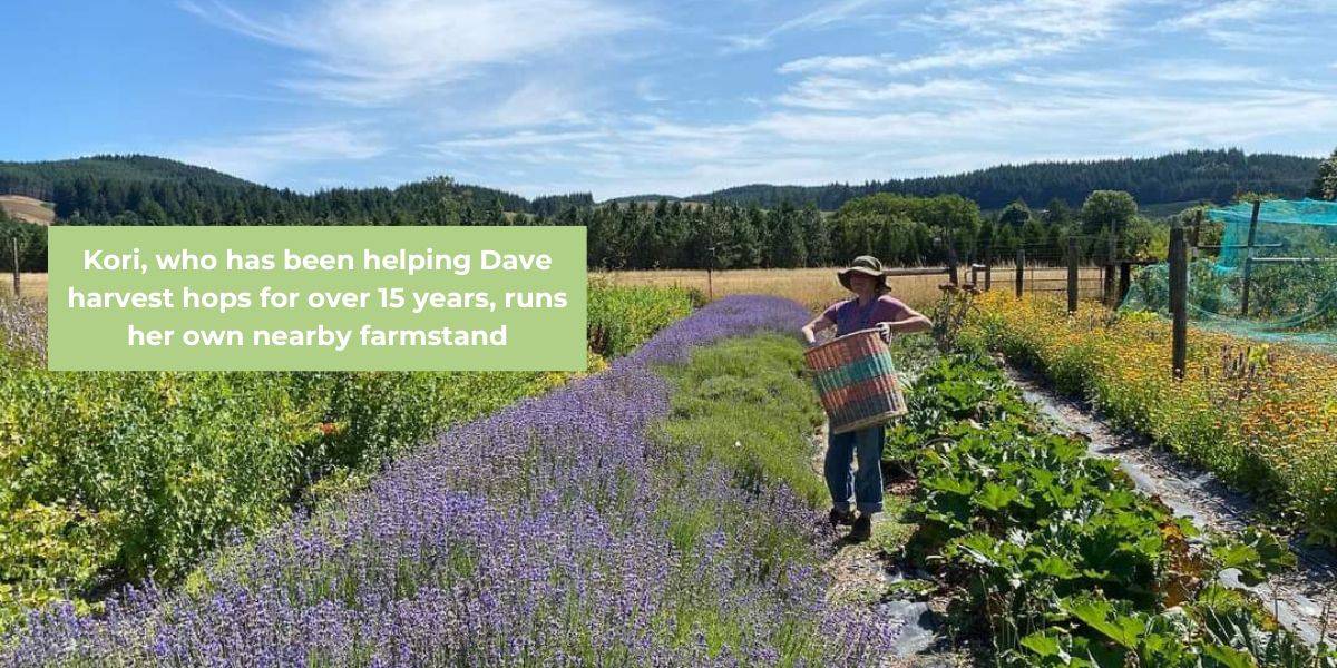 Kori in field of lavender has helped Freshops for over 15 years
